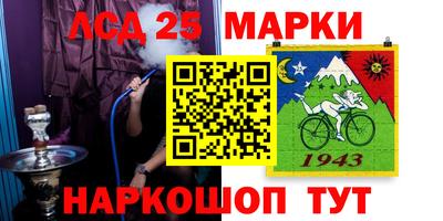 амф Можга