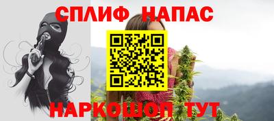 амф Можга