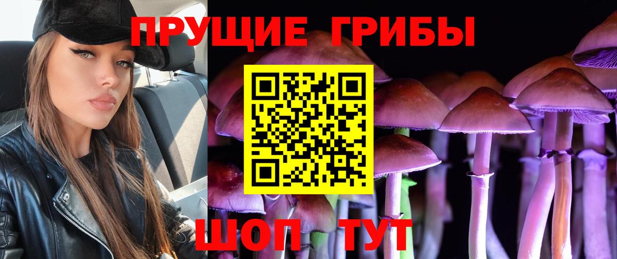 Галлюциногенные грибы мицелий  Вход с VPN  Приморско-Ахтарск 