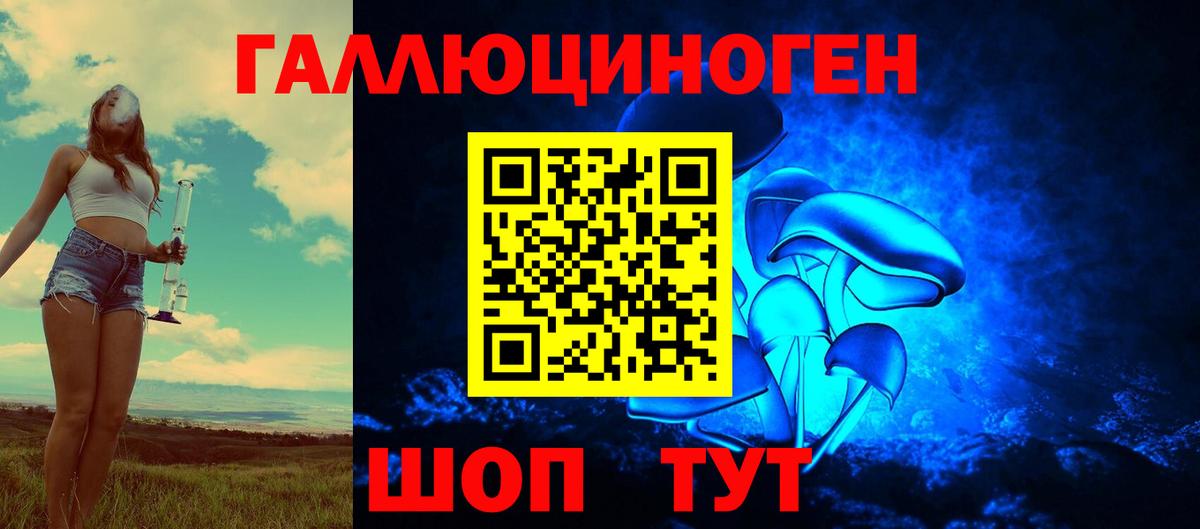 Галлюциногенные грибы мухоморы Приморско-Ахтарск